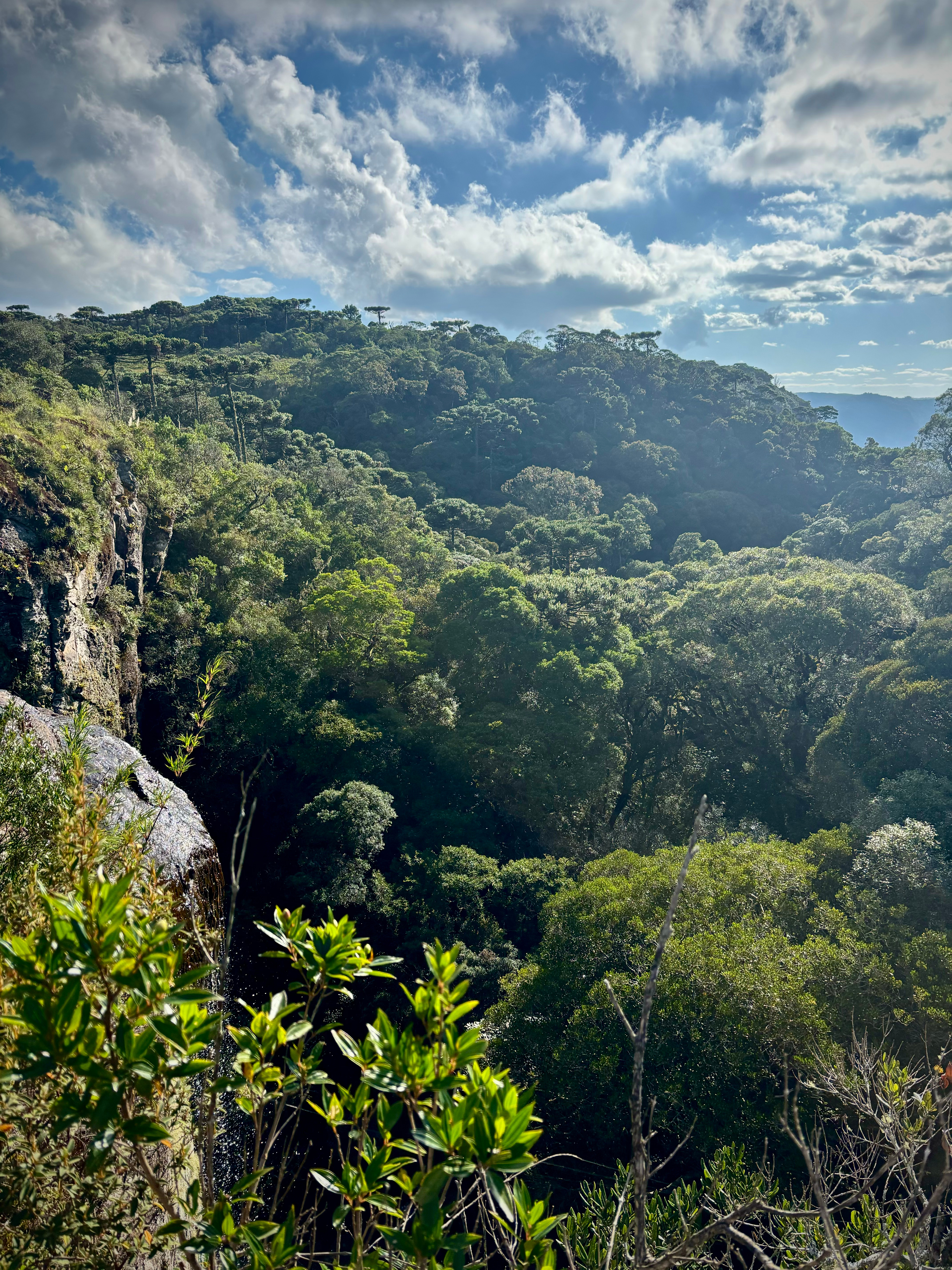 Cachoeira Detalhe