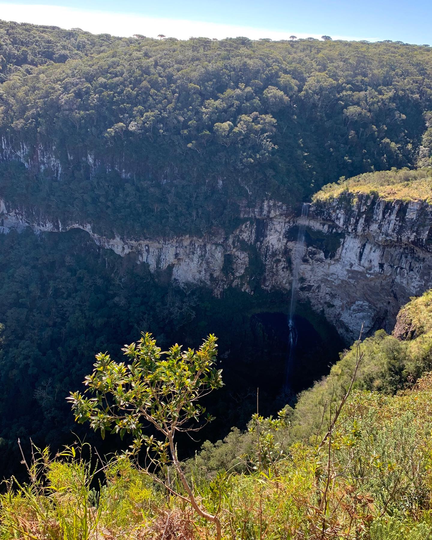 Imagem Exposição 1