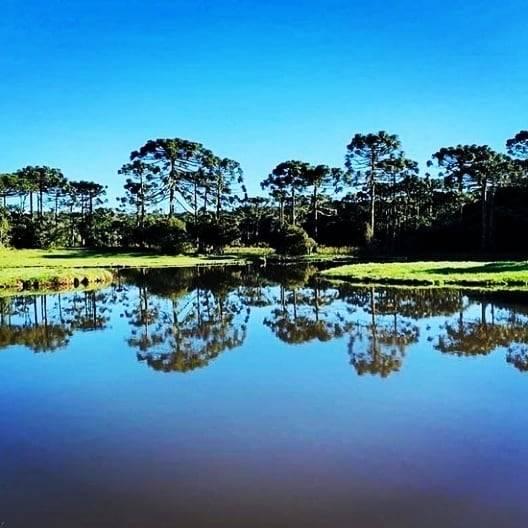 Imagem Exposição 2